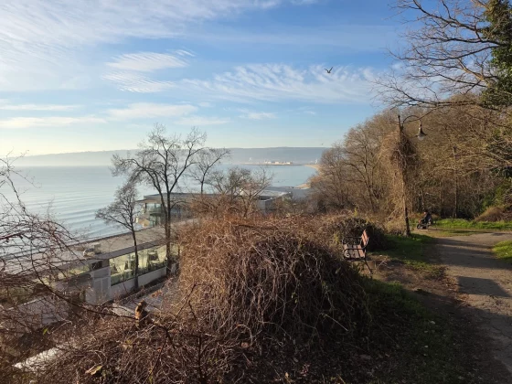 Honor Magic 8 Pro и Samsung Galaxy S25 Ultra