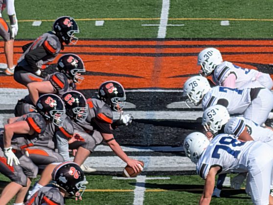 Google Pixel 10 Pro XL