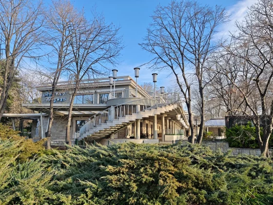 Honor Magic 8 Pro и Samsung Galaxy S25 Ultra