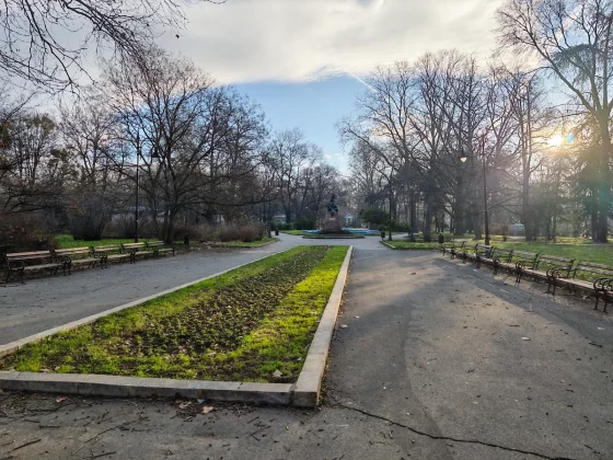 Honor Magic 8 Pro и Samsung Galaxy S25 Ultra