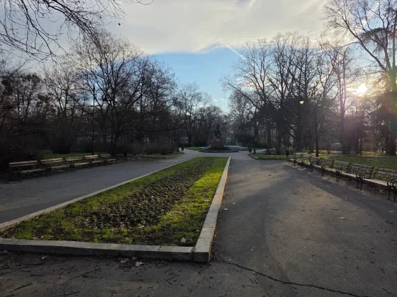 Honor Magic 8 Pro и Samsung Galaxy S25 Ultra