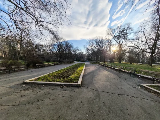 Honor Magic 8 Pro и Samsung Galaxy S25 Ultra