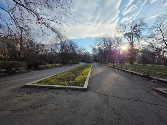 Honor Magic 8 Pro и Samsung Galaxy S25 Ultra