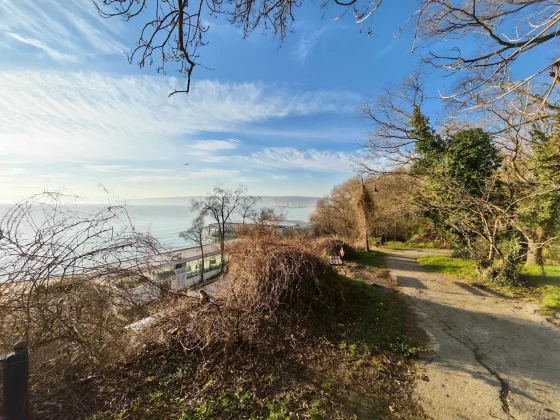 Honor Magic 8 Pro и Samsung Galaxy S25 Ultra