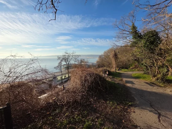 Honor Magic 8 Pro и Samsung Galaxy S25 Ultra