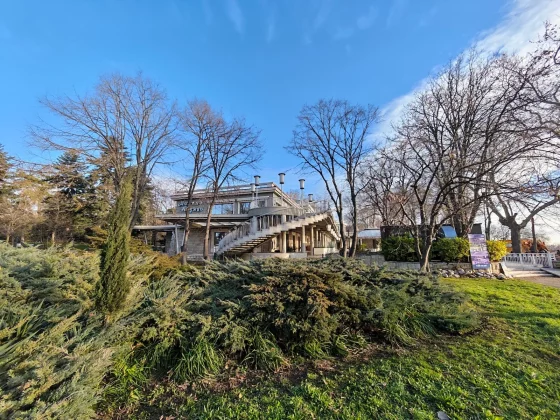 Honor Magic 8 Pro и Samsung Galaxy S25 Ultra