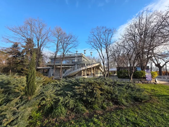 Honor Magic 8 Pro и Samsung Galaxy S25 Ultra