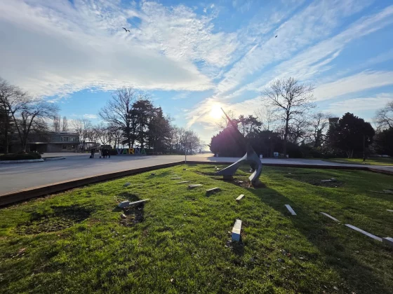 Honor Magic 8 Pro и Samsung Galaxy S25 Ultra