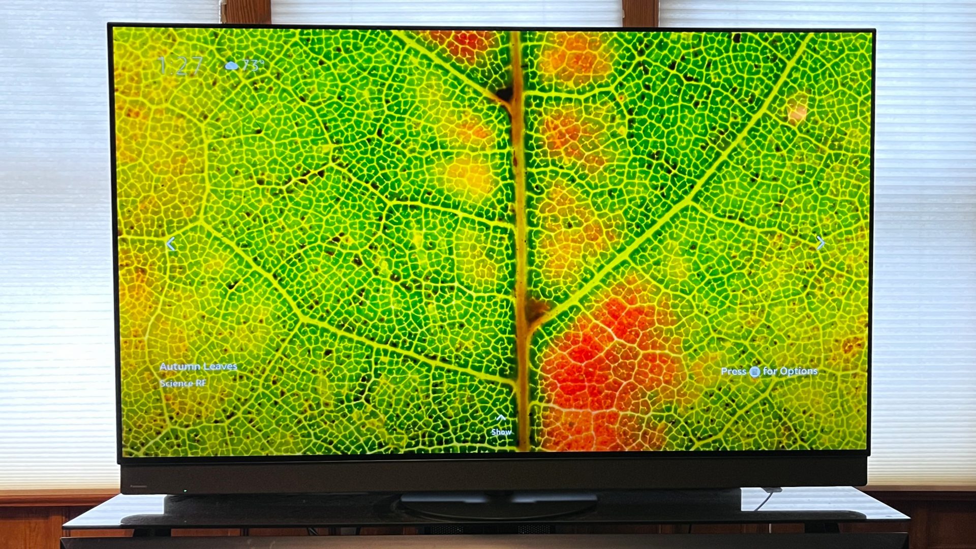 Лучшие телевизоры в 2026 году: модели на любой вкус картинка Panasonic z95b