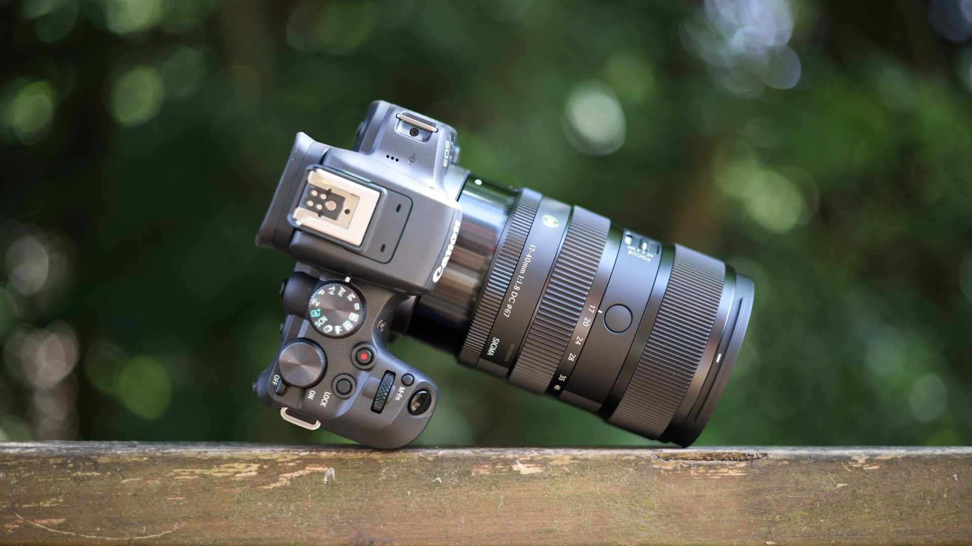 Новые объективы Canon RF: 100 штук и хит за $470 | DGL.RU