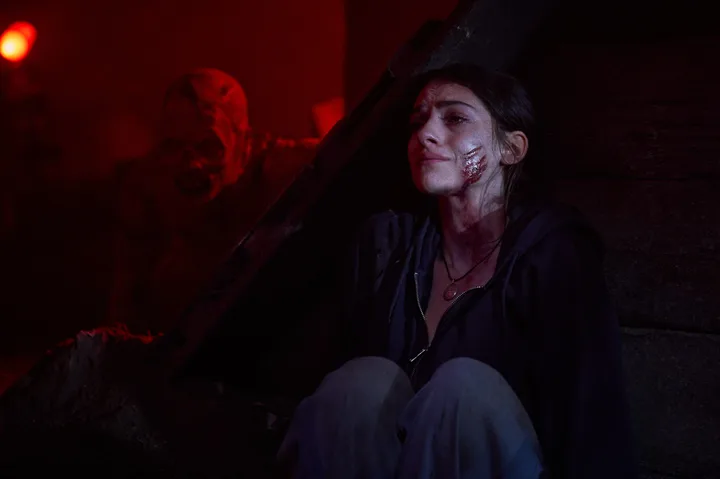 Рецензия на фильм «До рассвета»: бессвязная катастрофа картинка Фильм До рассвета: полный хаос вместо ужаса | DGL.RU