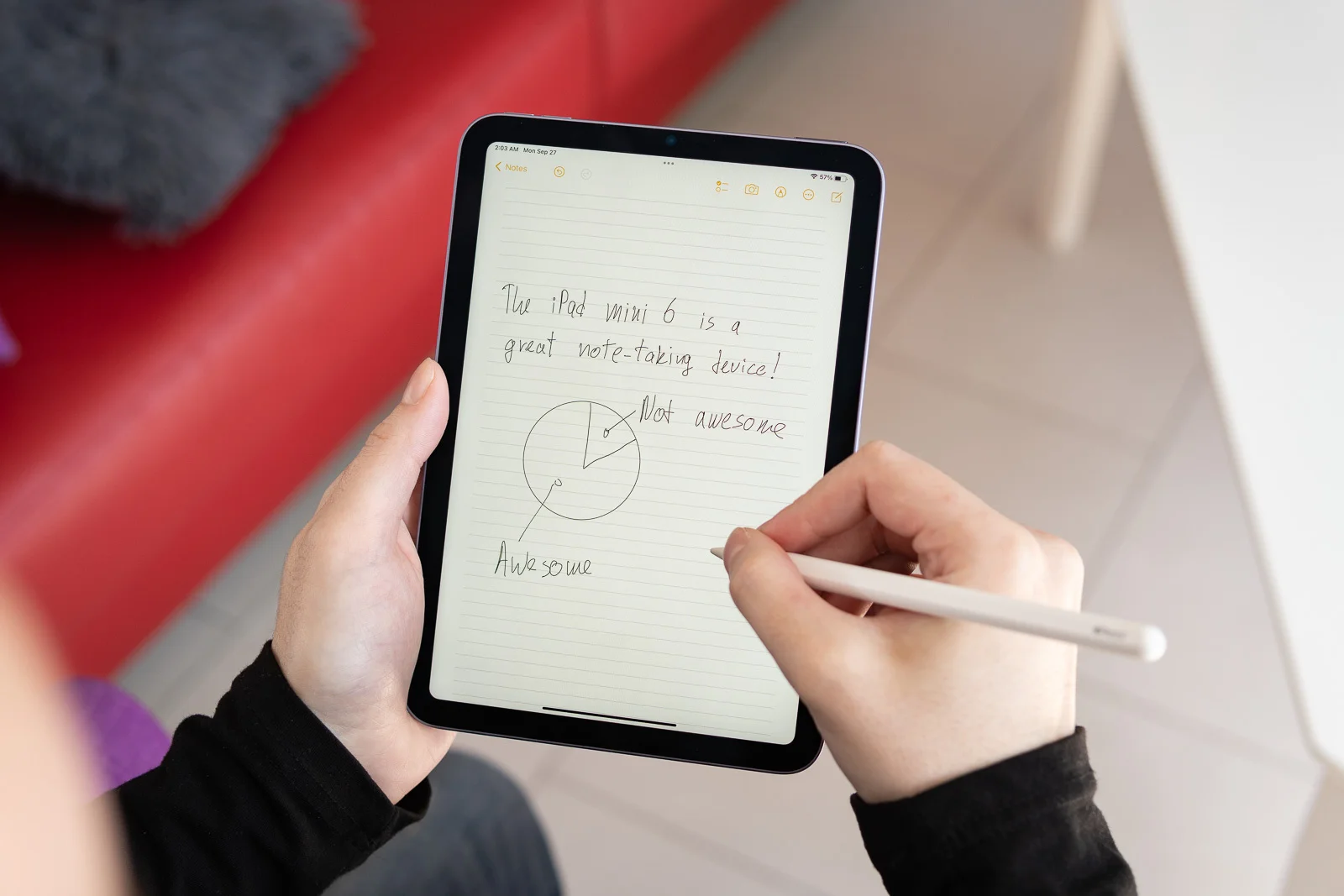 iPad: последний великолепный гаджет или эпоха, которая ушла навсегда? картинка iPad