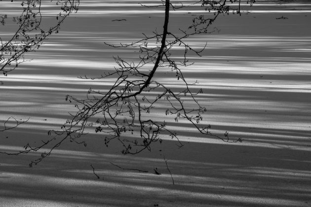 Leica Q3 Monochrom &mdash; нишевая камера | DGL.RU