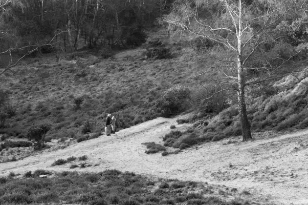 Leica Q3 Monochrom &mdash; нишевая камера | DGL.RU