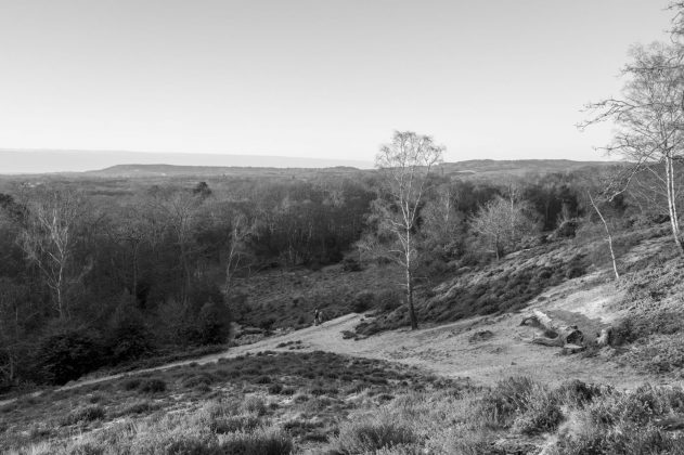 Leica Q3 Monochrom &mdash; нишевая камера | DGL.RU