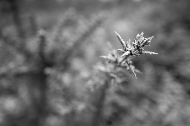 Leica Q3 Monochrom &mdash; нишевая камера | DGL.RU