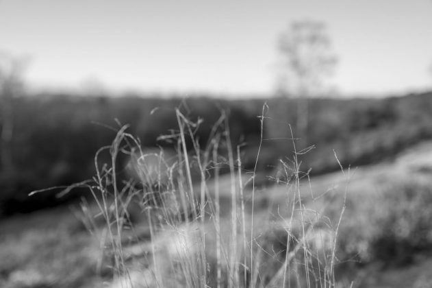 Leica Q3 Monochrom &mdash; нишевая камера | DGL.RU