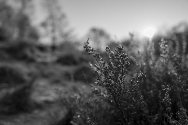 Leica Q3 Monochrom &mdash; нишевая камера | DGL.RU