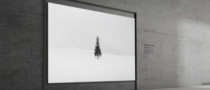 Не телевизор, а портал. Samsung на CES 2026 превратил стену в окно с помощью 130-дюймового Micro RGB