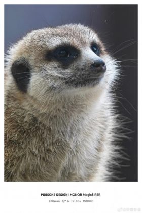 фото на Honor Magic8 RSR Porsche Design