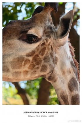 фото на Honor Magic8 RSR Porsche Design