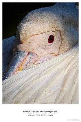 фото на Honor Magic8 RSR Porsche Design