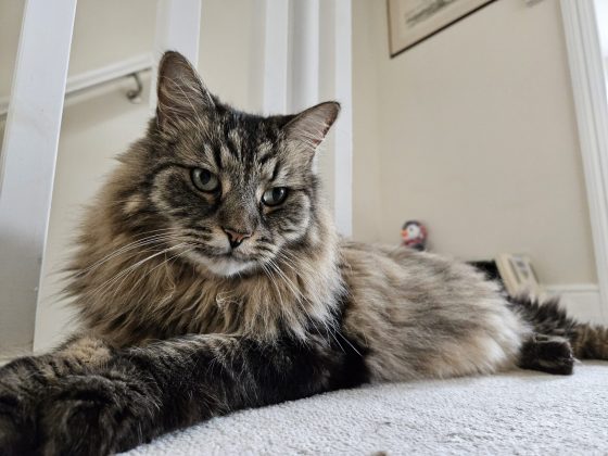 Смартфон Galaxy Z Fold 5 &mdash; лучший на Западе | DGL.RU