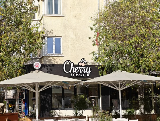 Смартфон Honor Magic 8 Pro &mdash; без слабых мест | DGL.RU