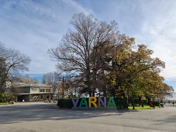 Смартфон Honor Magic 8 Pro &mdash; без слабых мест | DGL.RU