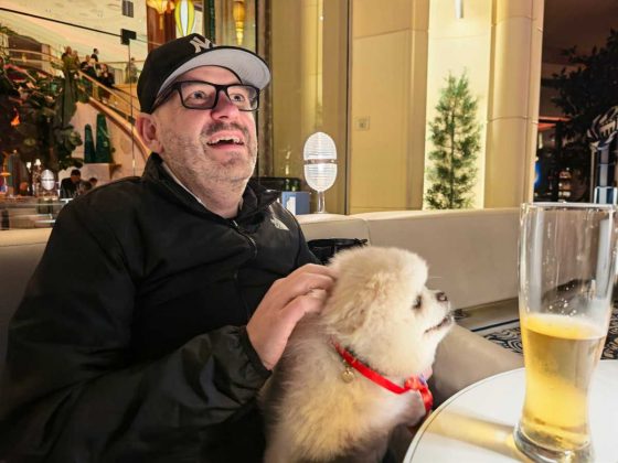 Смартфон Honor Magic8 Pro с компромиссами | DGL.RU