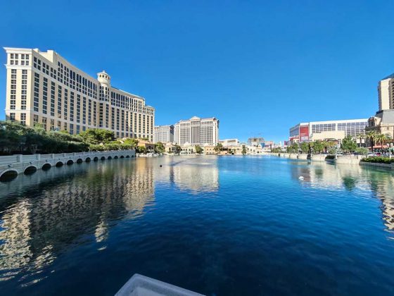 Смартфон Honor Magic8 Pro с компромиссами | DGL.RU