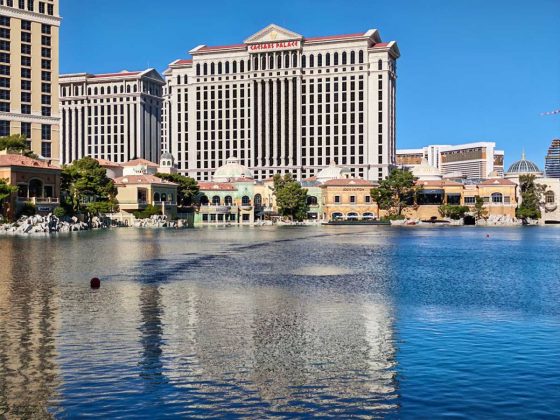 Смартфон Honor Magic8 Pro с компромиссами | DGL.RU