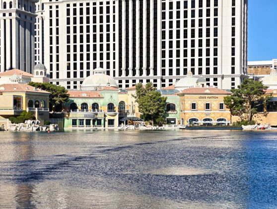 Смартфон Honor Magic8 Pro с компромиссами | DGL.RU