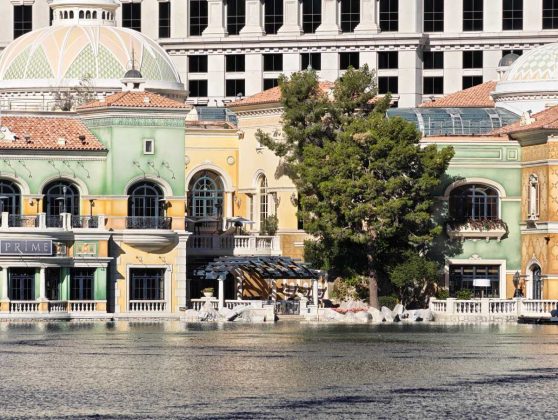 Смартфон Honor Magic8 Pro с компромиссами | DGL.RU