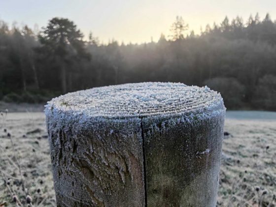 Смартфон Honor Magic8 Pro с компромиссами | DGL.RU