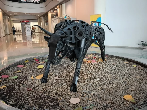 Смартфон Moto G Play (2026) vs Moto G (2026) | DGL.RU