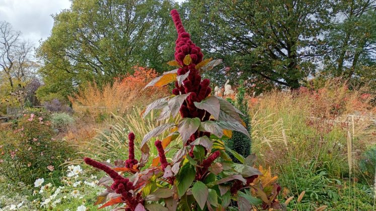 Смартфон Moto G06 Power &mdash; ставка на батарею | DGL.RU