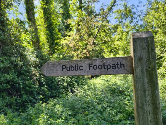 Смартфон Motorola Edge 60 Fusion &mdash; бюджетник | DGL.RU