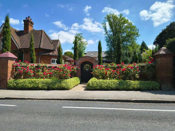 Смартфон Motorola Edge 60 Fusion &mdash; бюджетник | DGL.RU