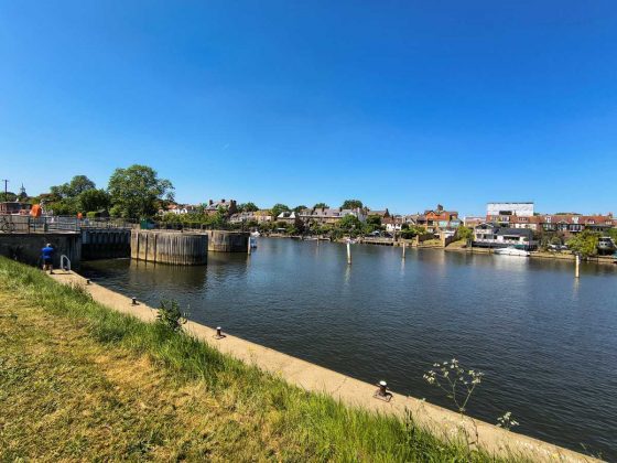 Смартфон Motorola Edge 60 Fusion &mdash; бюджетник | DGL.RU