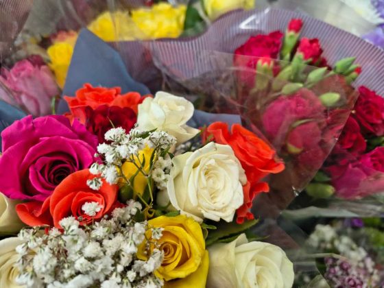 Смартфон Motorola Edge 60 Fusion &mdash; бюджетник | DGL.RU