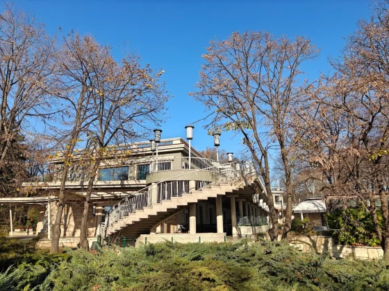 Смартфон OnePlus 15R: выгодный, но без харизмы | DGL.RU