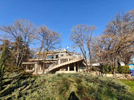 Смартфон OnePlus 15R: выгодный, но без харизмы | DGL.RU