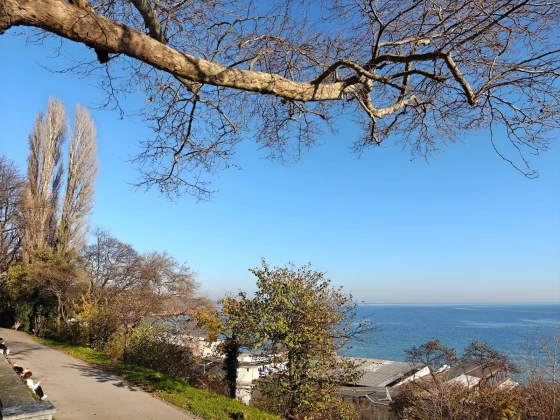 Смартфон OnePlus 15R: выгодный, но без харизмы | DGL.RU