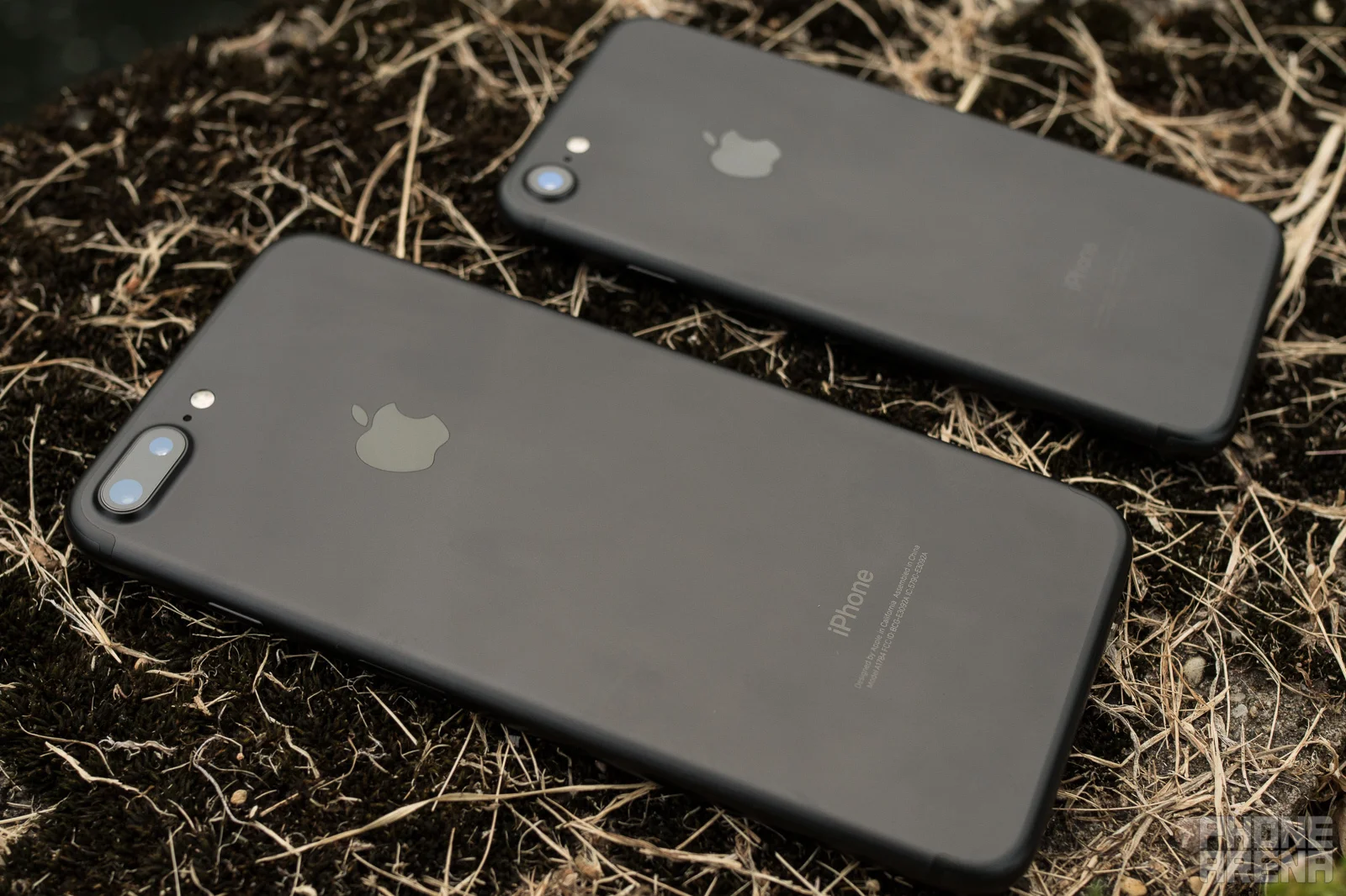 Смартфон против камеры и фотоапгрейды | DGL.RU