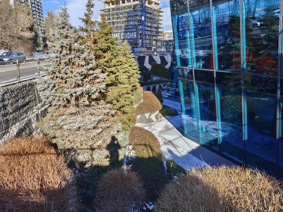 Обзор Realme 16 Pro+: одна из лучших камер в классе фото