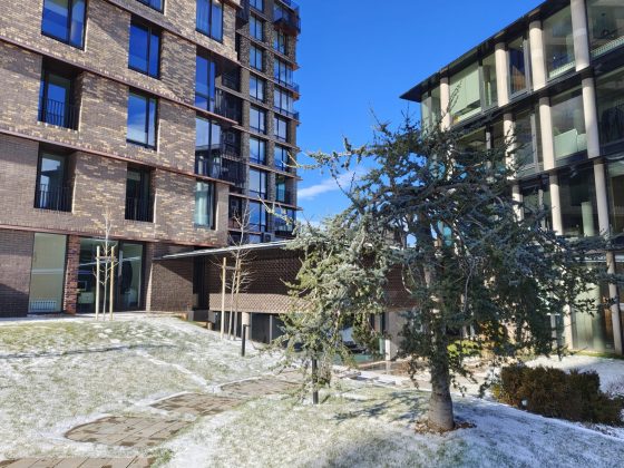 Смартфон Realme 16 Pro+: ставка на камеру | DGL.RU