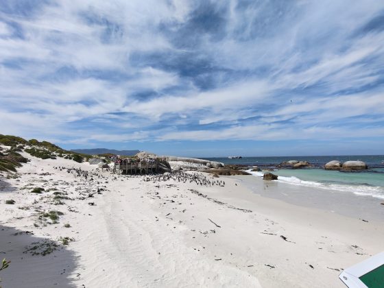 Смартфон Realme GT8 Pro &mdash; флагман с зумом | DGL.RU