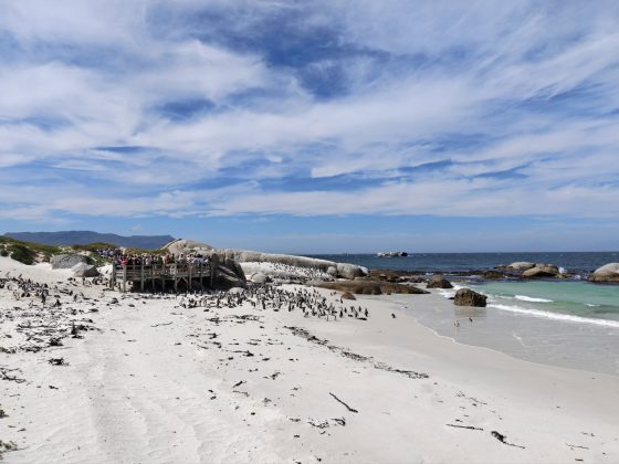 Смартфон Realme GT8 Pro &mdash; флагман с зумом | DGL.RU