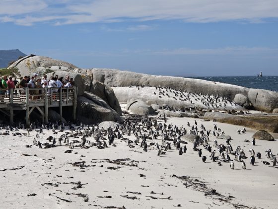 Смартфон Realme GT8 Pro &mdash; флагман с зумом | DGL.RU